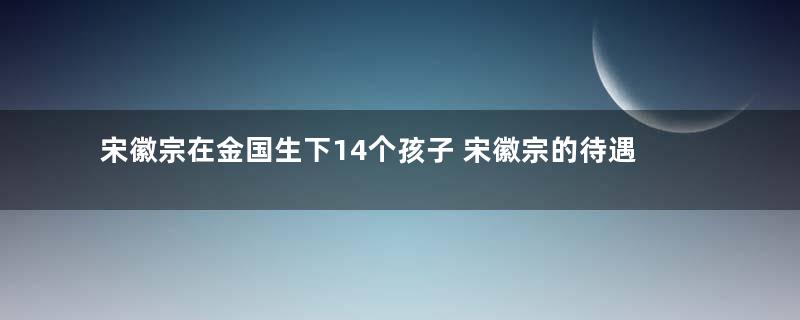 宋徽宗在金国生下14个孩子 宋徽宗的待遇生活是不是很好